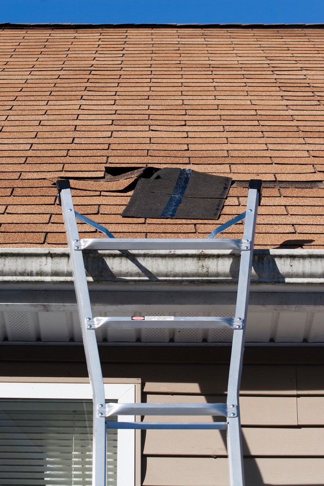 Replacing a blown out roof shingle